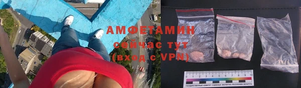 гашик Гусев