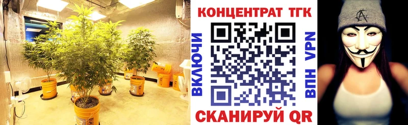 ТГК гашишное масло Опочка